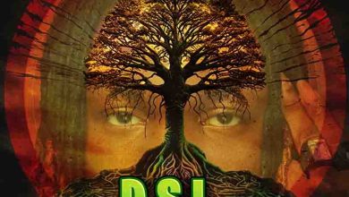 DSL – Tell I How mp3 download