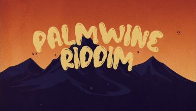 Juls – Palmwine Riddim mp3 download