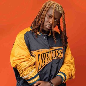 Wisa Greid – The Republic mp3 download