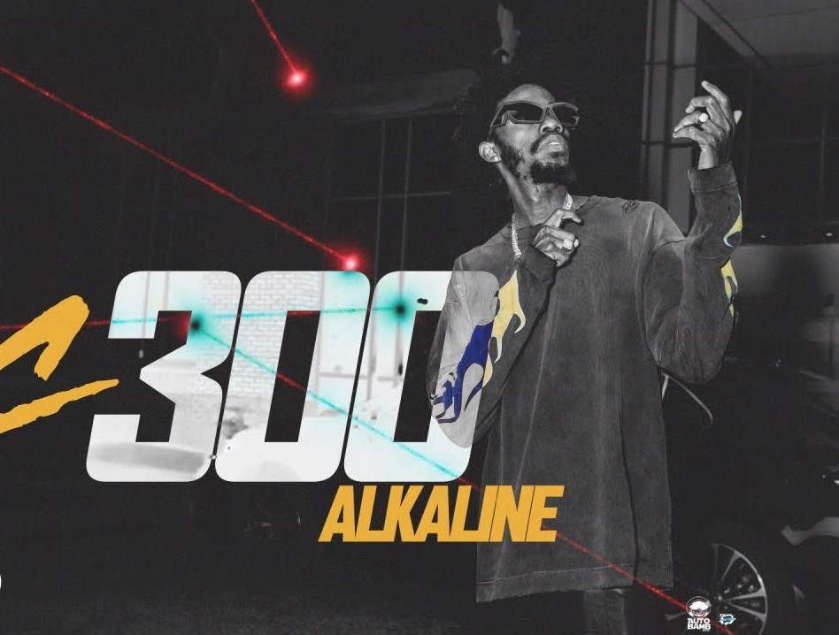 Alkaline – C300