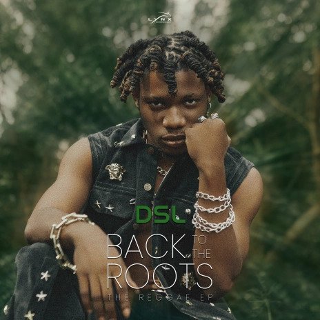 DSL – Going Down