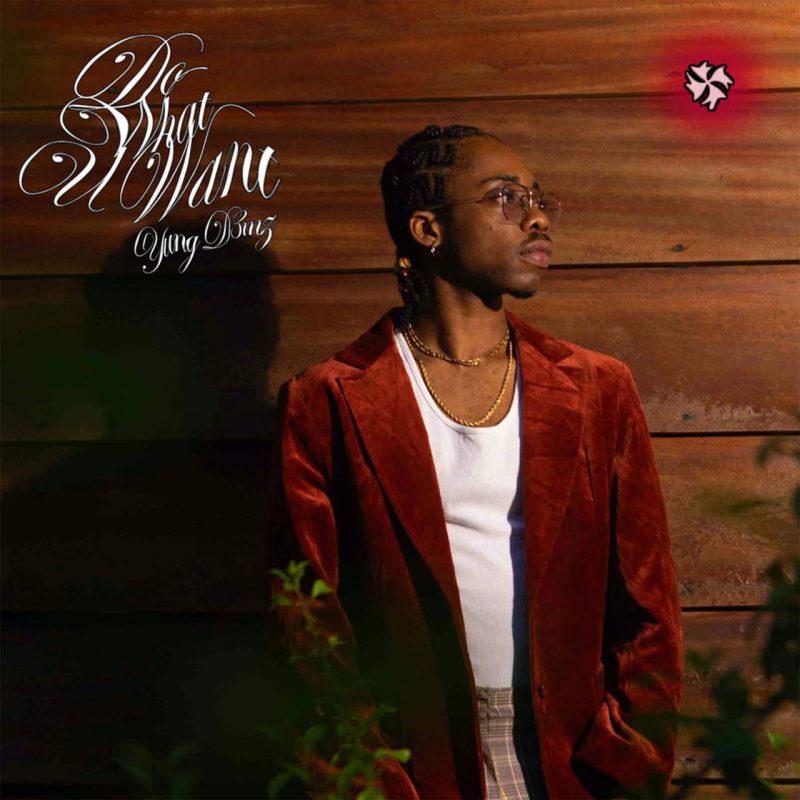 Yung D3mz – Do What U Want