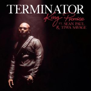 King Promise – Terminator (Remix) Ft Sean Paul & Tiwa Savage mp3 download