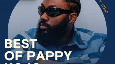 Download Best OF Pappy Kojo DJ Mix On Mdundo