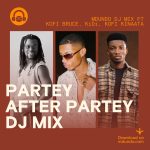 Download The Partey After Partey DJ Mix On Mdundo