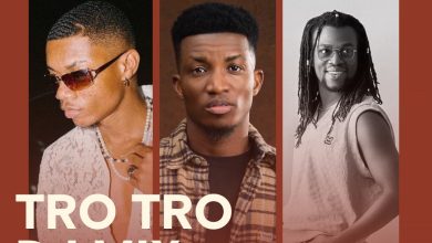 Download The TRO TRO DJ Mix On Mdundo
