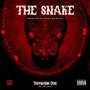 Mr Logic – The Snake mp3 download