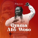 Daddy Lumba – Gyama Abɔ Woso