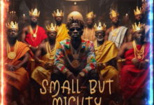 Shatta Wale – Small But Mighty mp3 download