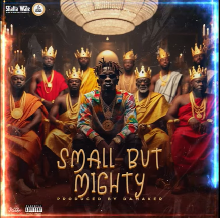 Shatta Wale – Small But Mighty