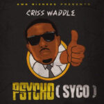 Criss Waddle – Psycho (Syco)