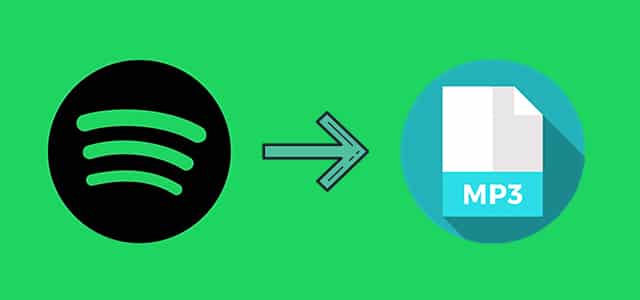 Spotify to MP3 Made Easy: Download Any Song Offline with ViWizard