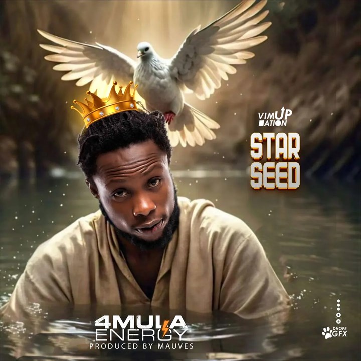 4mula Energy – Star Seed (Legacy)