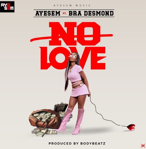 Ayesem – No Love ft. Bra Desmond