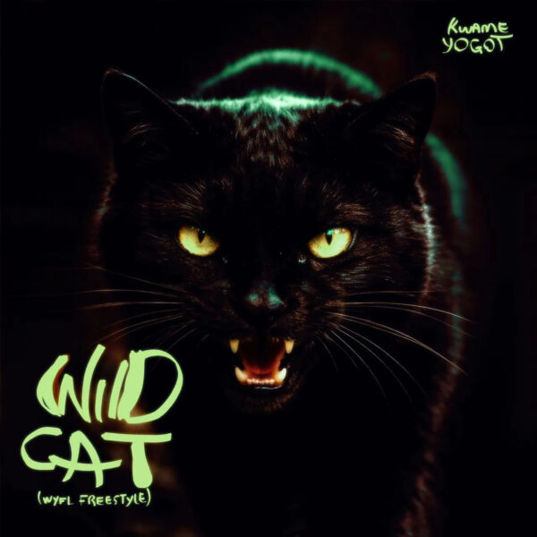 Kwame Yogot – Wildcat (WYFL Riddim)