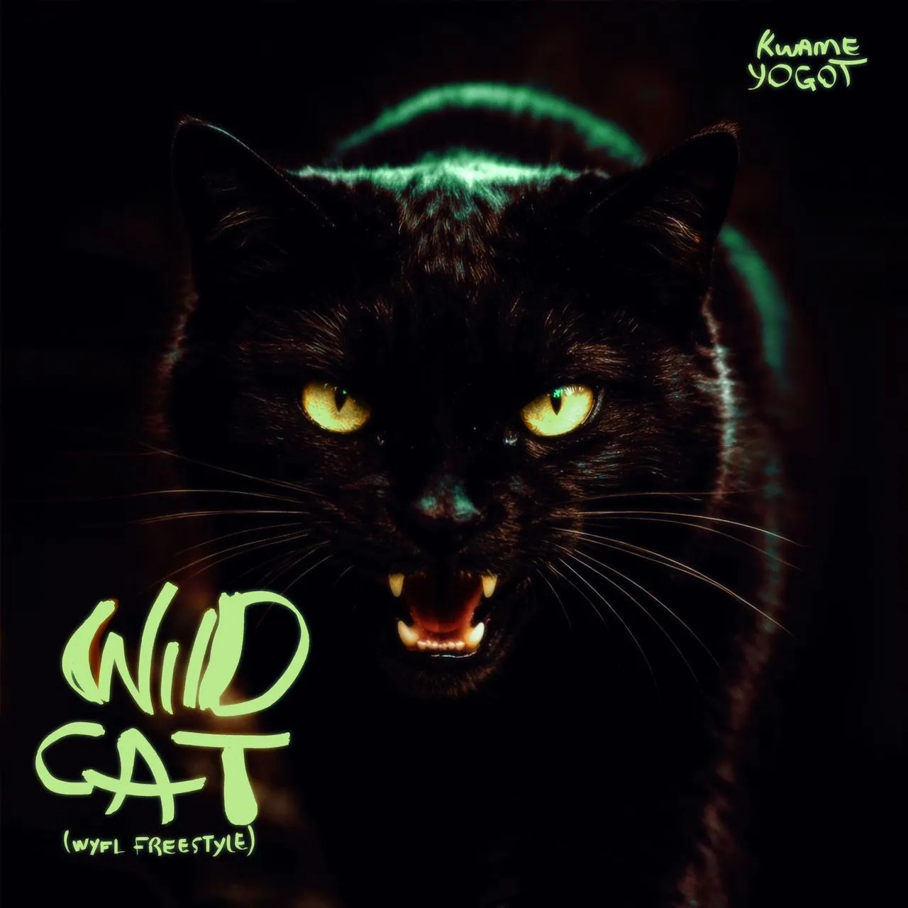 Wildcat (WYFL Riddim)