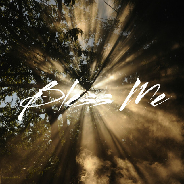 Bless Me ft. Shatta Wale